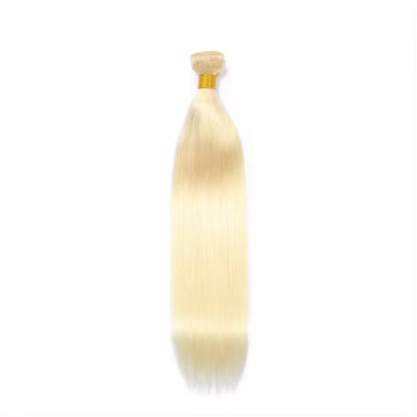 Hair Extensions Wholesale Bulk Sale Factory High Quality invisible cuticle aligned Hair Bundles Double Drawn 100% Remy Virgin Human Golden Highlight Straight Hair - Imagen 2