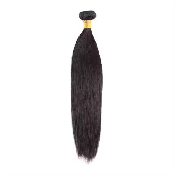 Extensiones de cabello al por mayor Venta a granel Fábrica de alta calidad Cabello alineado de cutícula invisible Mechones de cabello doblemente dibujados 100% Virgen Remy Humano Cabello recto negro natural con reflejos