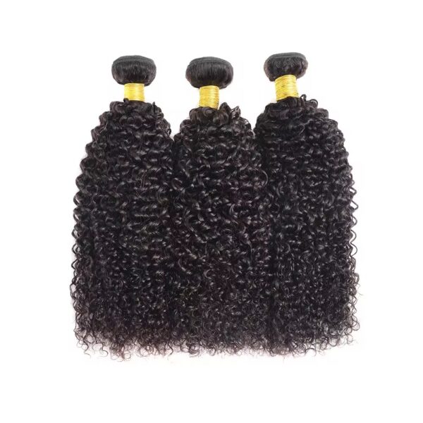 Extensiones de cabello al por mayor Venta al por mayor Fábrica de alta calidad Paquetes de cabello alineados con cutícula invisible Doble dibujado 100% Remy Virgen Humano Naturaleza Negro Rizado Kinky.