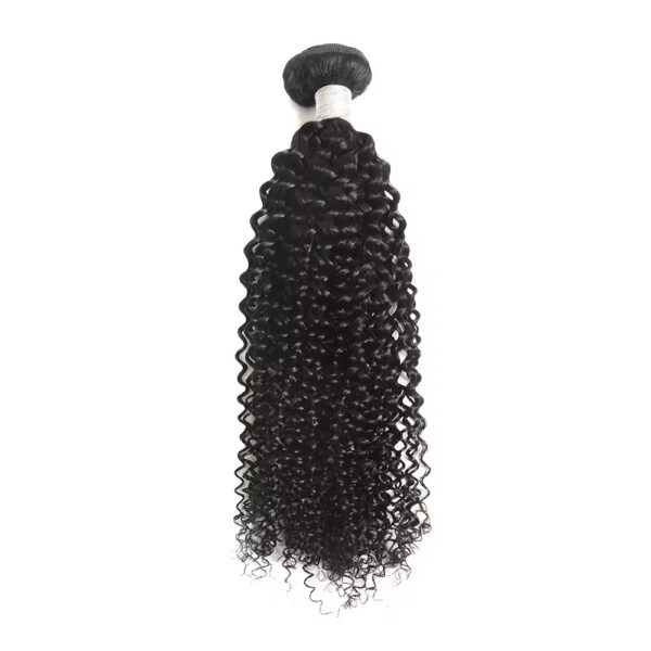 Hair Extensions Wholesale Bulk Sale Factory High Quality invisible cuticle aligned Hair Bundles Double Drawn 100% Remy Virgin Human Nature Black Kinky Curly Hair - Imagen 4