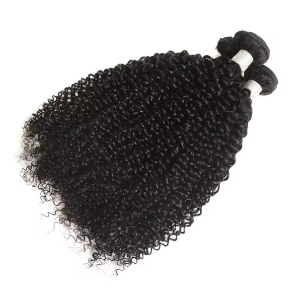 Hair Extensions Wholesale Bulk Sale Factory High Quality invisible cuticle aligned Hair Bundles Double Drawn 100% Remy Virgin Human Nature Black Kinky Curly Hair - Imagen 2