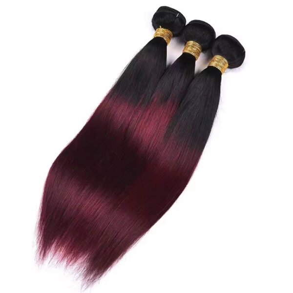 Extensiones de cabello al por mayor Venta a granel Fábrica de alta calidad Paquetes de cabello alineado con cutícula invisible Doble dibujado 100% Virgen Remy Cabello humano natural Negro y rojo borgoña Recto