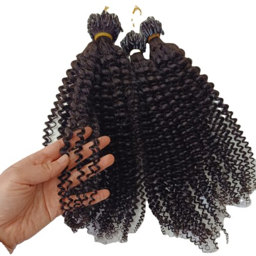 H1fe7caac6be74e35afcd142489420c2fa Wholesale High Quality 100% Virgin Human Hair Micro Ring Extensions Kinky Curly